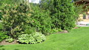 Gartenpflege Gartenunterhalt